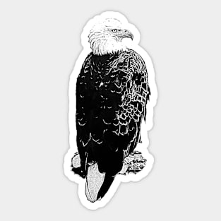 Eagle Sticker